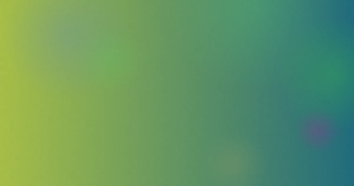 二级生活片怎么用？实测细节